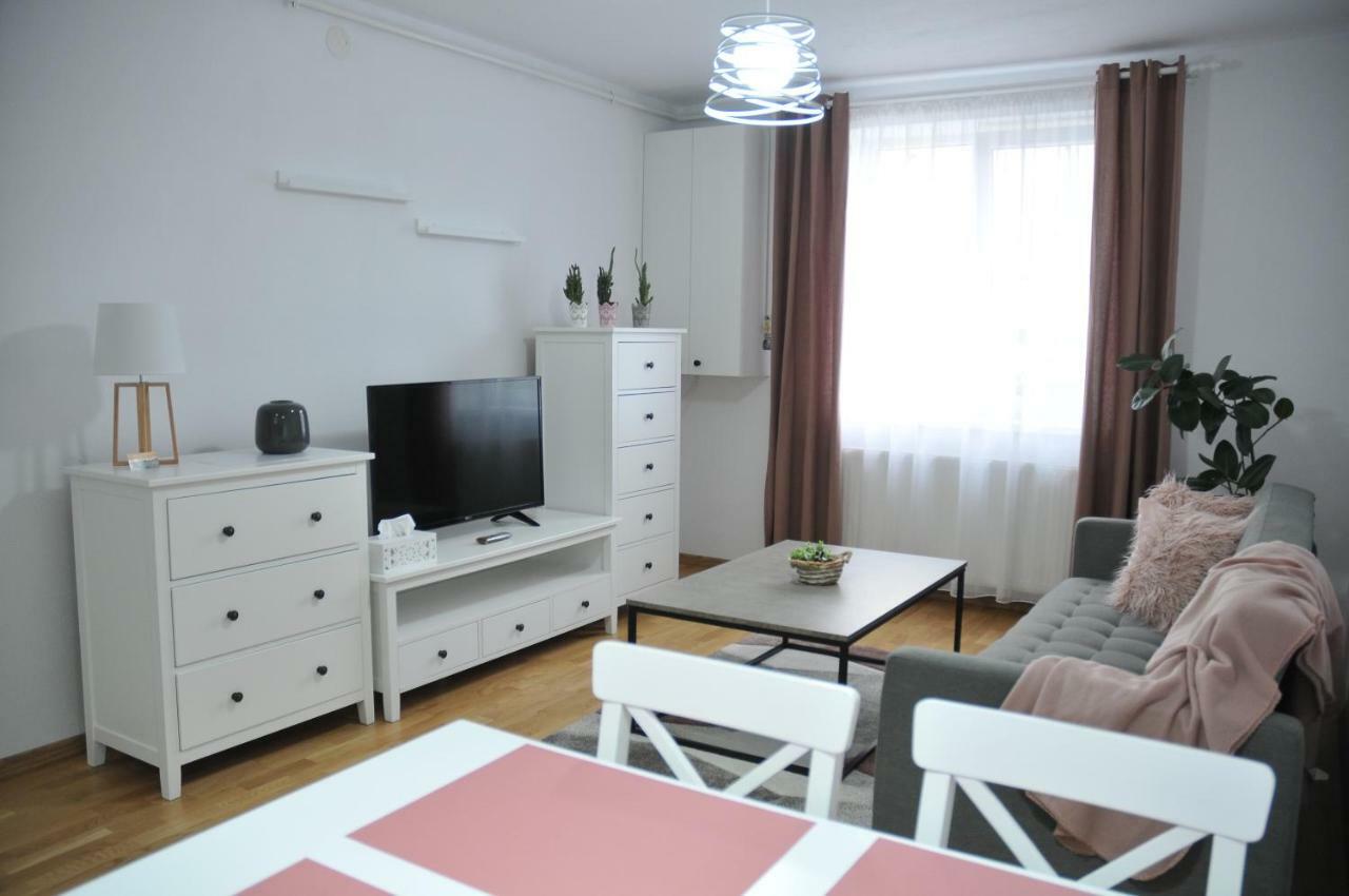 Ana Cristina Apartament 锡吉什瓦拉 外观 照片
